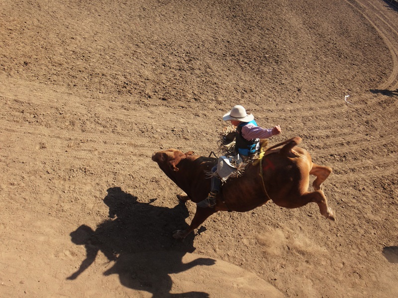Rodeo and The Cowboy Skills