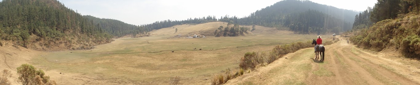 Ajusco Riding Holidays